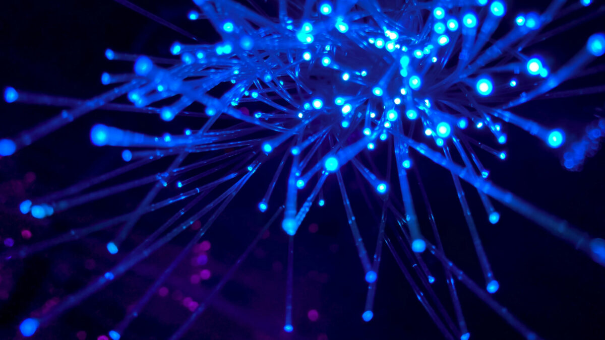 Fibre optique en France : ce que les professionnels doivent savoir en 2026